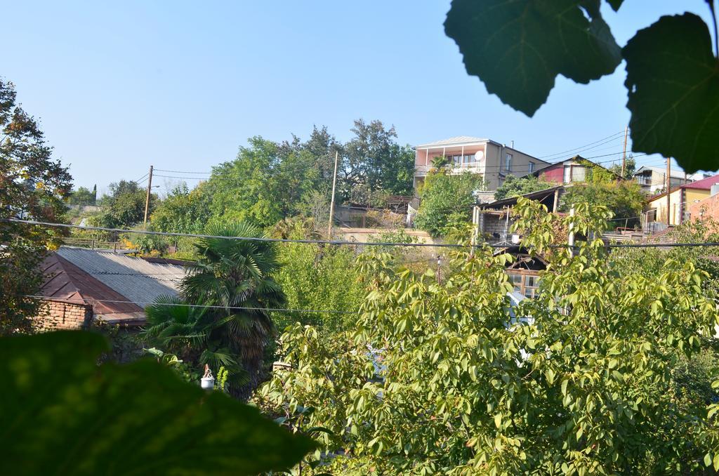 Alex'S Cosy Guesthouse Tbilisi Rum bild